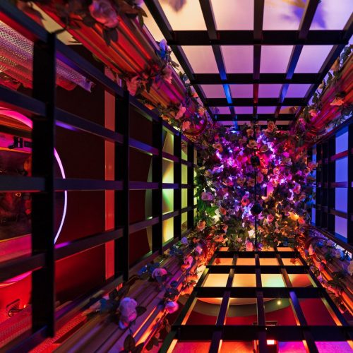 cage de la love room nimes la romaine